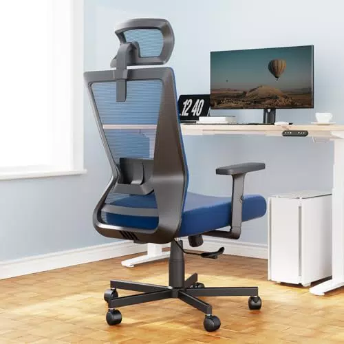 Ergonomischer Bürostuhl von Dripex: Chefsessel mit breitem Schaumstoffkissen, höhenverstellbar & neigbar