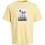 JACK & JONES Herren T-Shirt JORSPLASH Photo - Regular Fit - Modell: Rundhals