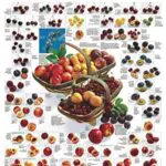 Kal. 2024 Food -> Kal 2024 Lebensmittel