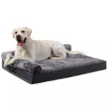 Orthopädisches Hundebett mit Nackenrollen und wasserdichtem Innenfutter