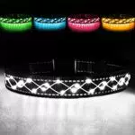 Hundeleuchthalsband mit LED Blinklicht und Reflektorstreifen - USB aufladbar & wasserdicht - Einstellbar - Weiß