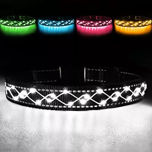 Hundeleuchthalsband mit LED Blinklicht und Reflektorstreifen - USB aufladbar & wasserdicht - Einstellbar - Weiß