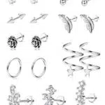 Edelstahl Piercing Set für Frauen und Männer - Helix, Tragus, Daith, Lippe, Nase, Septum, Monroe, Augenbraue - 17-teilig