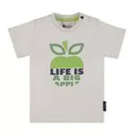 Sterntaler Baby-Jungen Kurzarm Apfel T-Shirt, lichtgrau
