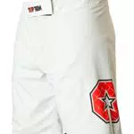 MMA Herren Shorts von TOP TEN