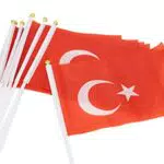 Türkische Flaggen EM 2024 für Kinder - Stockfahne Türkei