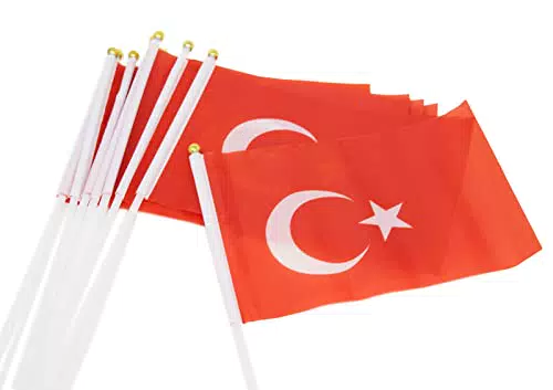 Türkische Flaggen EM 2024 für Kinder - Stockfahne Türkei