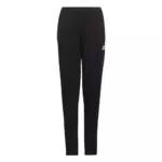 adidas Jungen Jogginghose ENT22 TR PNT Y