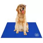 Bravpet Selbstkühlende Kühlmatte für Haustiere - Komfort für Katzen und Hunde