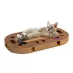 CanadianCat Company | Katzenspielplatz mit Kratzpappe und interaktivem Katzenspielzeug in Holzoptik