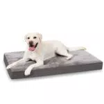 Orthopädisches Hundebett für Große Hunde von KSIIA - Waschbar, Flauschig, Abnehmbarer Deckel