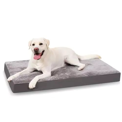 Orthopädisches Hundebett für Große Hunde von KSIIA - Waschbar, Flauschig, Abnehmbarer Deckel