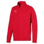 Puma Herren Jacke, Pepper Green-Puma White, X