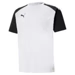 PUMA Herren Team Pacer Training T-Shirt - Herrengröße L