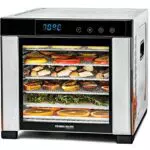 Dörrautomat von ROMMELSBACHER mit großer Dörrfläche und LED-Display