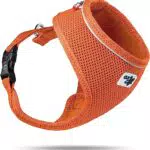 Sure, ecco il titolo pulito e ottimizzato per la SEO:
Air-Mesh Hundegeschirr
