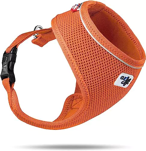 Sure, ecco il titolo pulito e ottimizzato per la SEO:

"Air-Mesh Hundegeschirr"