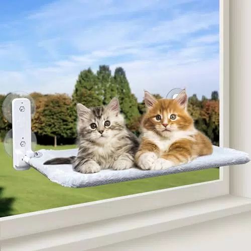 Bibykivn Katzenhängematte für das Fenster mit stabilen Saugnäpfen