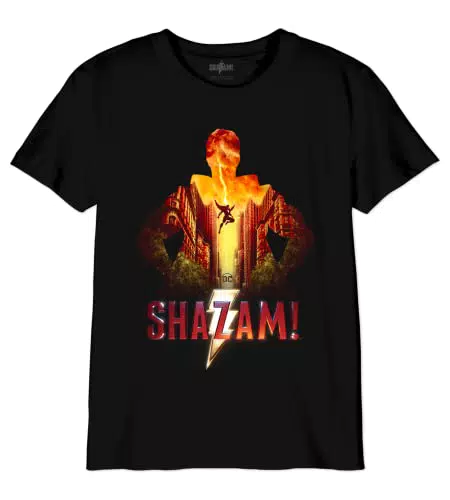 DC Comics Boshazmts005 T-Shirt für Jungen