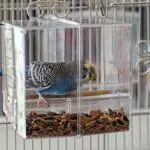 HappyBird Sittich Futterautomat - Sauberkeit und Ordnung für Ihren gefiederten Freund