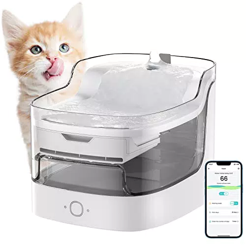 Lefant Intelligenter Katzenbrunnen mit App und 8-facher Filtrationstechnologie