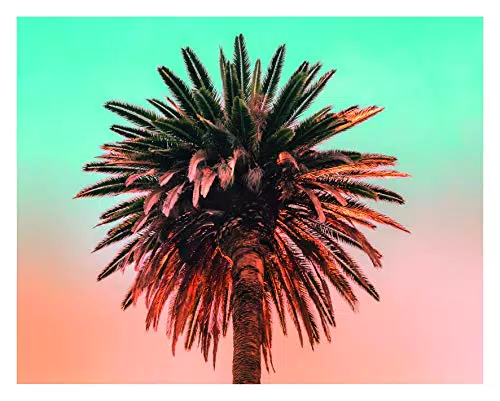 Komar Wandbild Palm Tree Kunstdruck für Wohnzimmer und Schlafzimmer