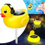 Pool Thermometer mit Licht und Solarbetrieb, Flamingo Design, Großes LCD-Display
