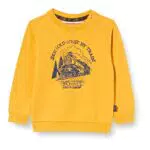 Noppies Baby Pullover für Jungen - Langarm Sweater Rishiri - Sonnenblume