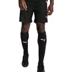 PUMA Herren Teamliga Trainingsshorts - Strick Shorts