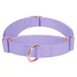 Hundehalsband aus weichem Leder mit Nylon-Geflecht und Zugstopp, Roségold-Metall Dressurhalsband - für Hunde aller Größen.