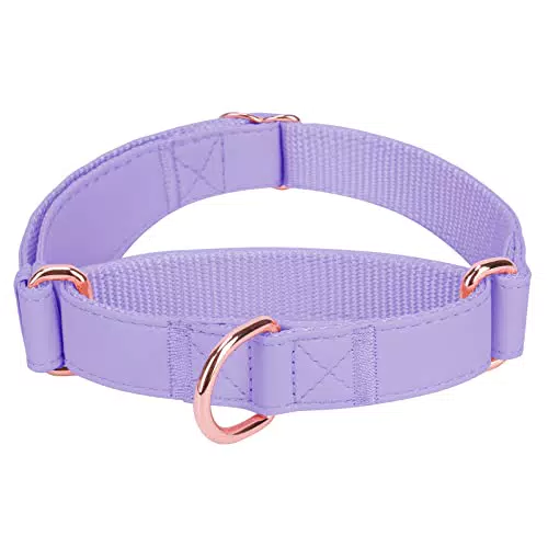 Hundehalsband aus weichem Leder mit Nylon-Geflecht und Zugstopp, Roségold-Metall Dressurhalsband - für Hunde aller Größen.