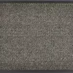 Venus Fußmatte - Schmutzfangmatte für den Hauseingang und Innenbereich