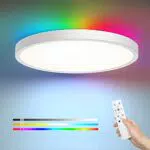 EDISHINE Dimmbare LED Deckenleuchte mit Fernbedienung für Wohnzimmer und Schlafzimmer