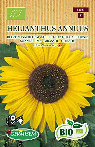 Germisem Sonnenblume Helianthus Annuus - Bio-Saatgut für Ihren Garten