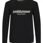 Jack & Jones Sweatshirt für Jungen - JORLAKEWOOD Crew Neck Sweatshirt