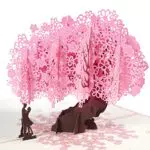 Magic Ants 3D Hochzeitskarte - Pop Up Liebeskarte für Hochzeit und Valentinstag