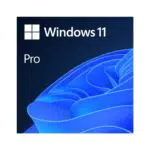 Microsoft Windows 11 Pro
