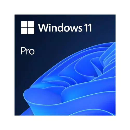 Microsoft Windows 11 Pro