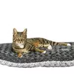 Nobby Kissen oval SEOLI – Komfortables Hundekissen für entspannte Stunden