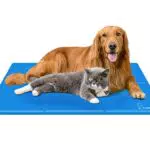 Kühlmatte für Hunde und Katzen mit Selbstkühlender Funktion - Grau