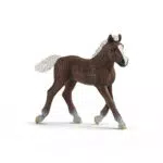 Schleich Schwarzwälder Fohlen - Spielfigur für Kinder ab 3 Jahren
