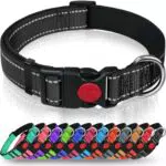 Taglory Hundehalsband, gepolstertes Neopren Nylon, verstellbar und reflektierend