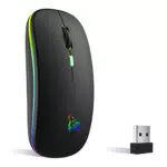 TQQ Kabellose Maus 2,4 GHz mit Bluetooth, 1600 DPI, Wiederaufladbar für PC und Laptop