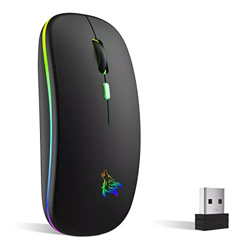 TQQ Kabellose Maus 2,4 GHz mit Bluetooth, 1600 DPI, Wiederaufladbar für PC und Laptop