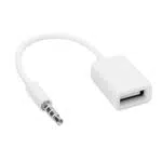 Adapterkabel von [Brand]: 3,5-mm-Klinkenstecker auf USB-Buchse für Autoradio