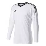 adidas Revigo 17 Torwarttrikot für Herren