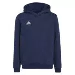adidas Entrada 22 Sweat Hoodie für Kinder
