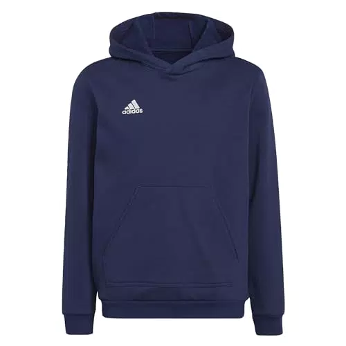 adidas Entrada 22 Sweat Hoodie für Kinder
