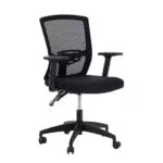 ALPHA HOME Ergonomischer Bürostuhl mit Höhenverstellung und Lendenwirbelstütze
