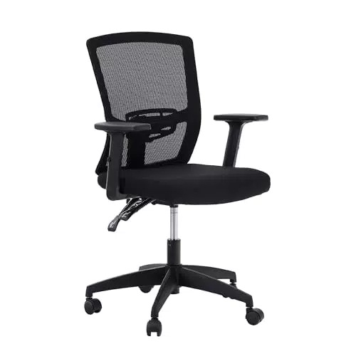 ALPHA HOME Ergonomischer Bürostuhl mit Höhenverstellung und Lendenwirbelstütze
